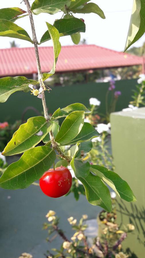 Heavenly Homestay Kochi Kültér fotó